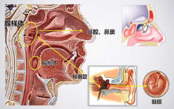 扁桃體發(fā)炎吃什么藥，真實(shí)用藥實(shí)錄分享?。焖僮杂?></a>
    <h2><a title=