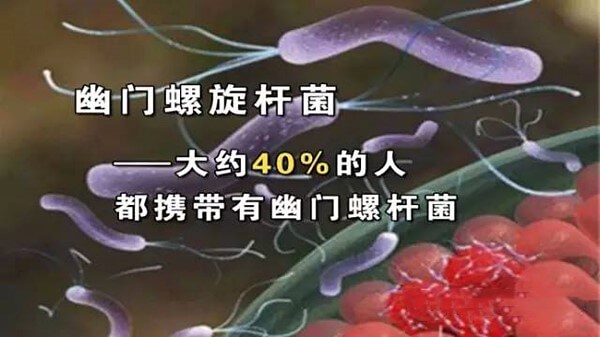 老莊分享殺滅HP幽門螺旋桿菌的食療法